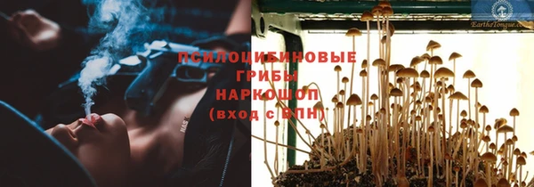 MDMA Premium VHQ Карпинск