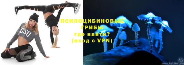 прущие крисы Каменка