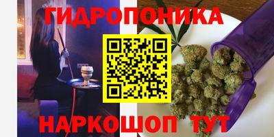 прущие крисы Коммунар