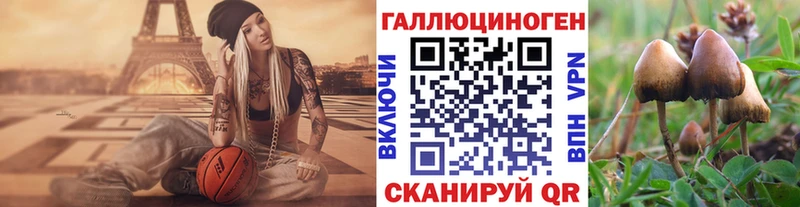 Галлюциногенные грибы Psilocybine cubensis  Новочебоксарск 