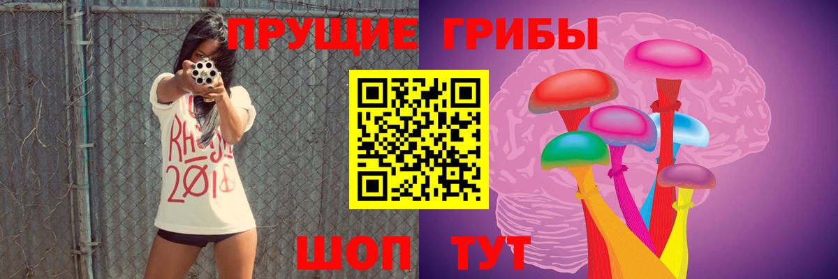 Галлюциногенные грибы Psilocybine cubensis  Вход с VPN  Псилоцибиновые грибы мухоморы  Новочебоксарск 